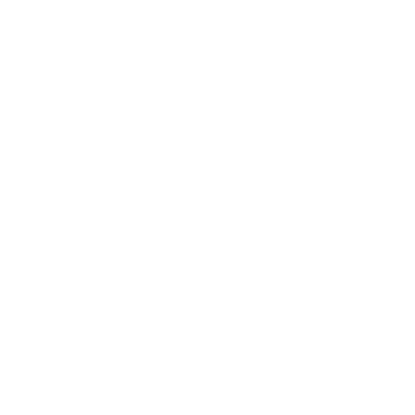 logo aa simple blanc